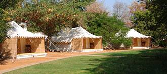 The Ranthambore Camp Retreat, Ranthambore 1